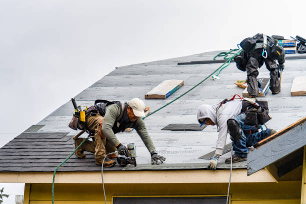 Professional Gutter Installation technician working in Dudley, GA